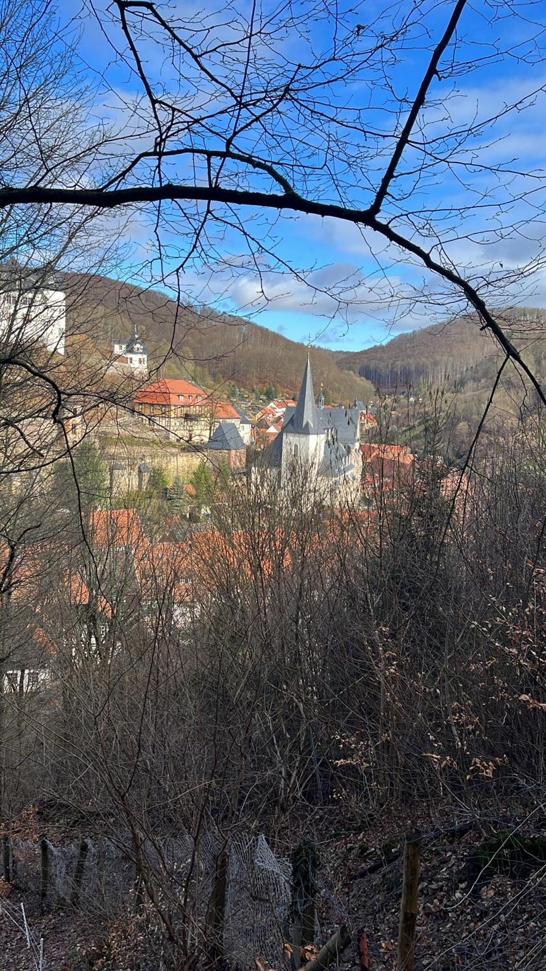 Haus Maxi Villa Stolberg i. Harz Exterior foto